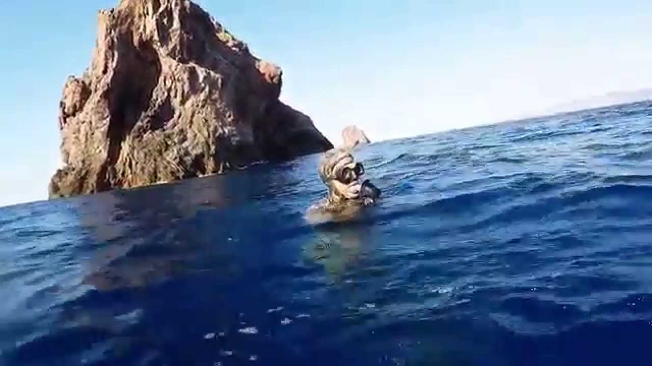 Chasse sous marine au îles fratelli Tunisie (Sar,Denti, Merou)