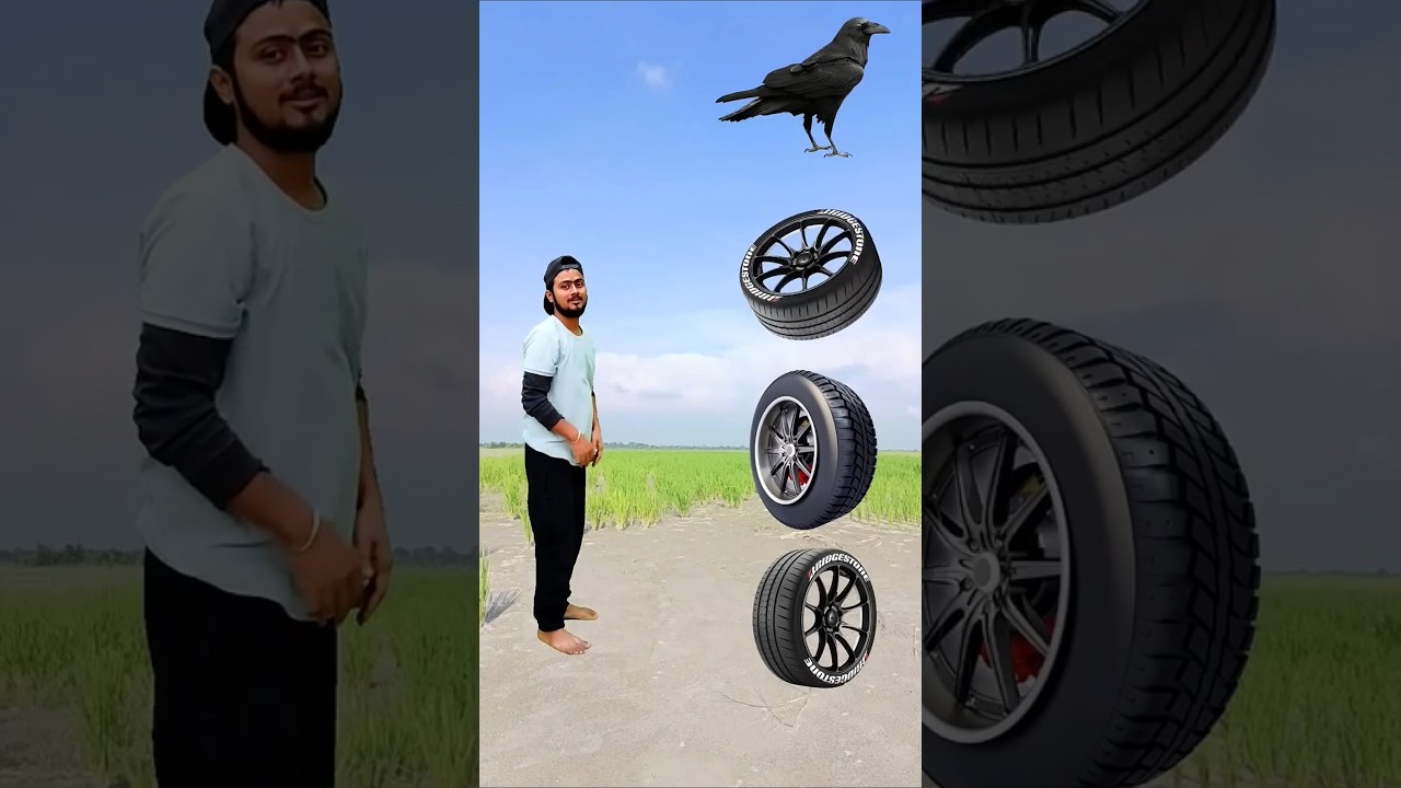 Rolling wheels 🛞 to birds 🐦 lvfx funny magic game 