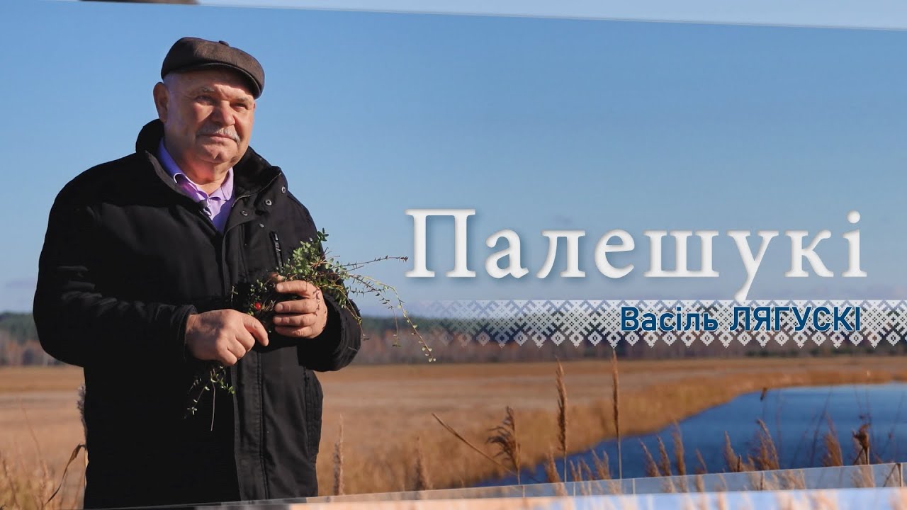 Василий Лягуский о деле всей жизни. Выращивание клюквы