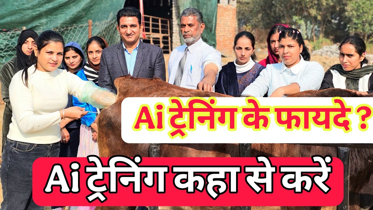 Artificial insemination in india | Ai ट्रेनिंग के फायदे | Ai  training कहा से करें ?