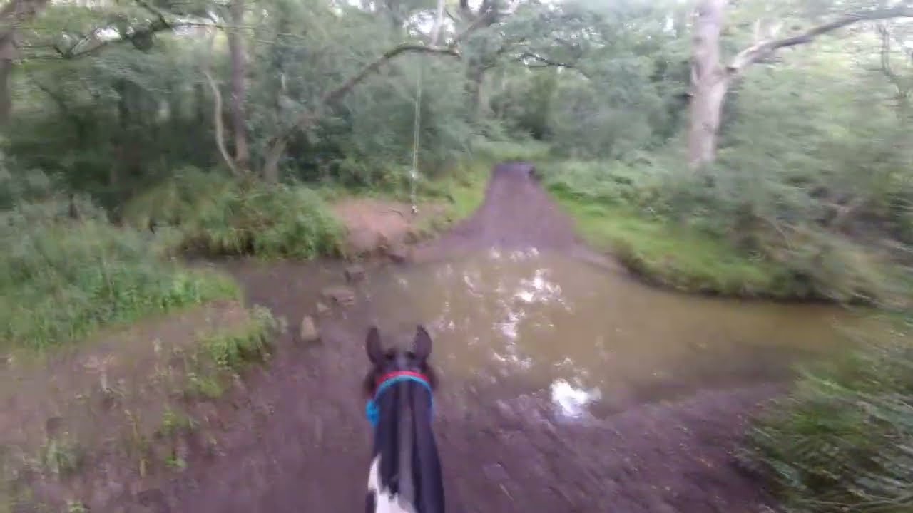 GOPRO - VWH Summer Ride - Dulux
