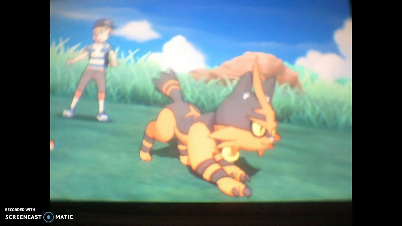 LittleTigerG pokemon sun