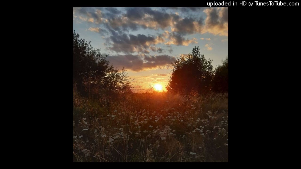 (free) *no drums* indie acoustic guitar type beat 
