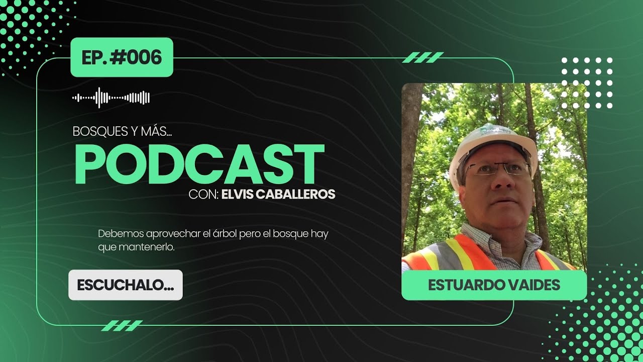 El valor de la teca y el futuro de las plantaciones forestales en América Latina