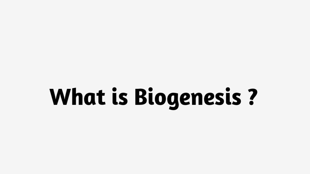 What is Biogenesis  ?