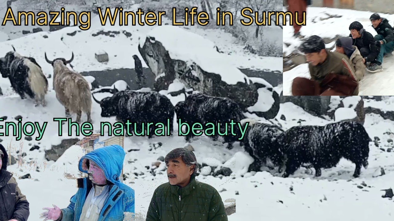 سرموں گاؤں میں زبردست برف باری ❄️ | خوبصورت مناظر | Winter Life in Surmu Village Baltistan