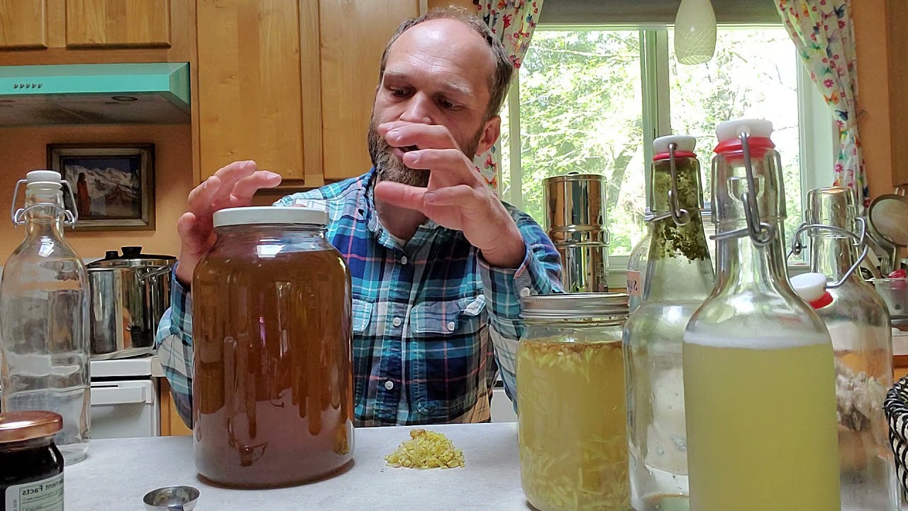 Maintaining a GINGER BUG, ginger beer!