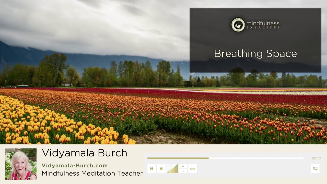 Breathing Space - A Guided Meditation by Vidyamala Burch