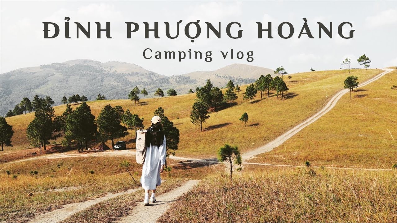 CẮM TRẠI TRÊN ĐỈNH PHƯỢNG HOÀNG | Review chi tiết đường lên | Giao Chỉ Camper