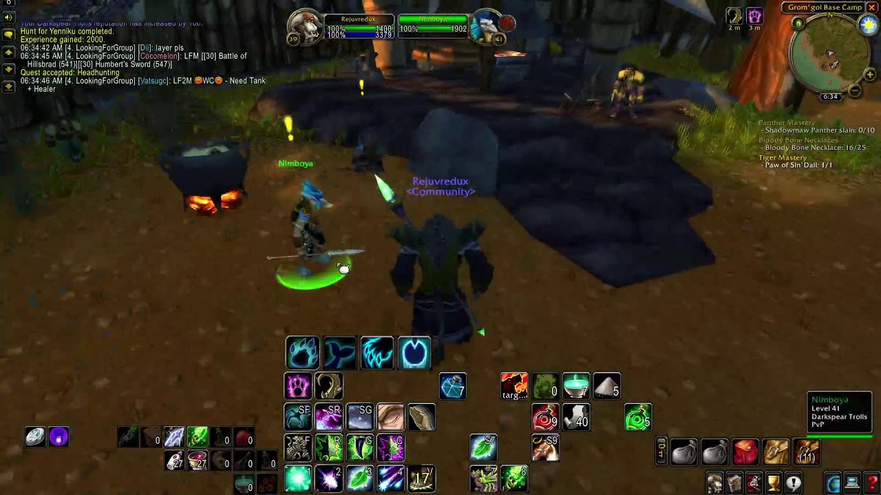 WoW hardcore classic Druid Healor