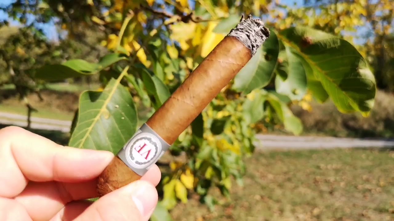 VegaFina CORONITA Zigarren Review
