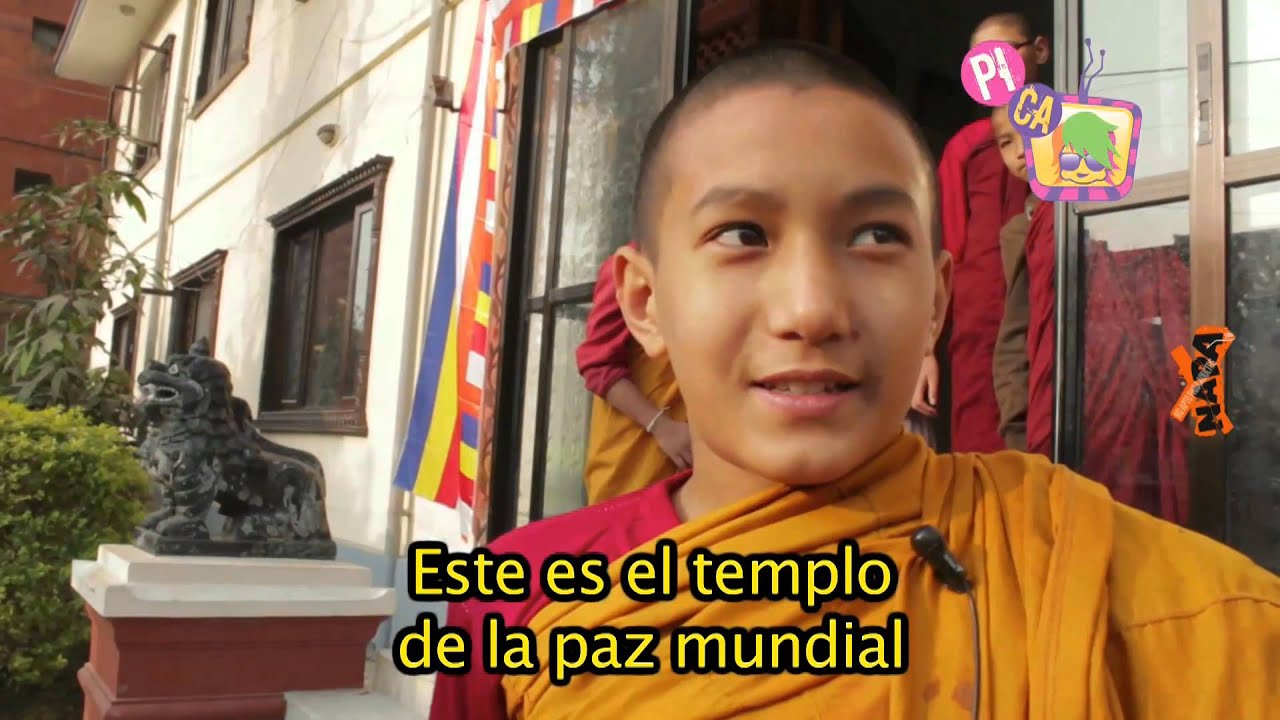 Niños Monjes Budistas de Nepal