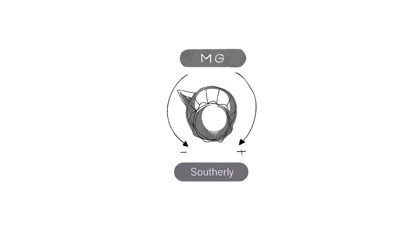 MG - Southerly