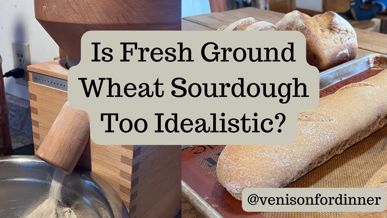 Is Fresh Ground Wheat Sourdough too Idealistic?