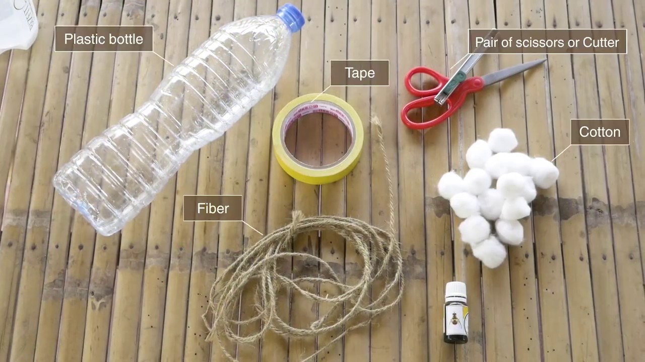 How to install and set up fruit fly management