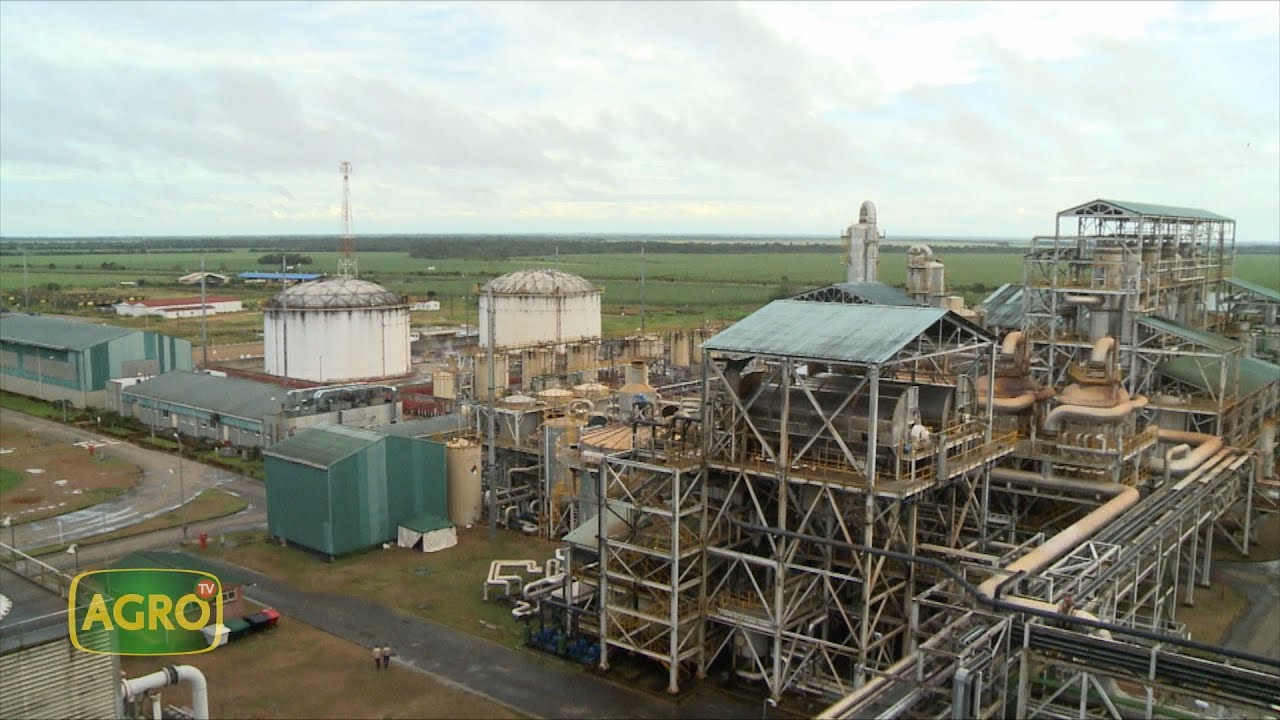 Cómo trabaja la mayor planta de producción de etanol de Colombia, Bioenergy (#1047 2023-09-02)