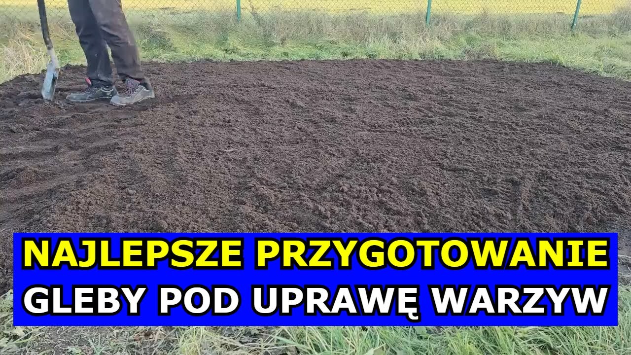 Najlepsze Przygotowanie Gleby pod Uprawę Warzyw. Jak Przygotować podłoże pod Ogórki Pomidory Marchew