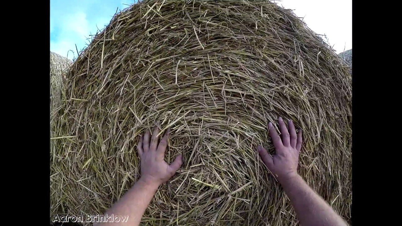 Carting Straw 2017