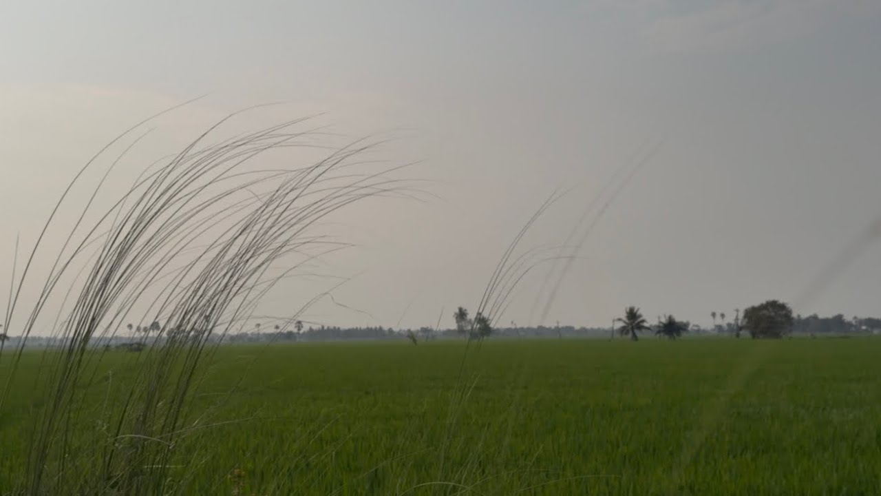 #Glimpse of Bhairavi….