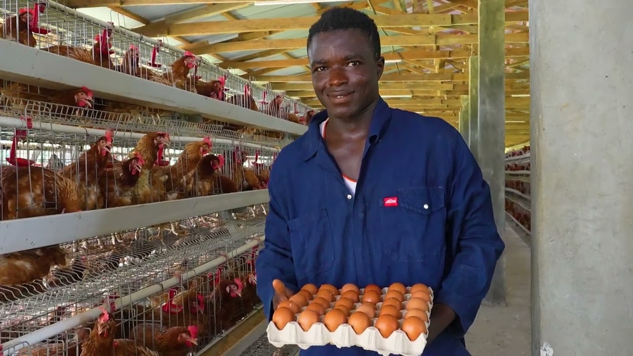 STORIES FROM THE FARM (Min. of Agriculture)