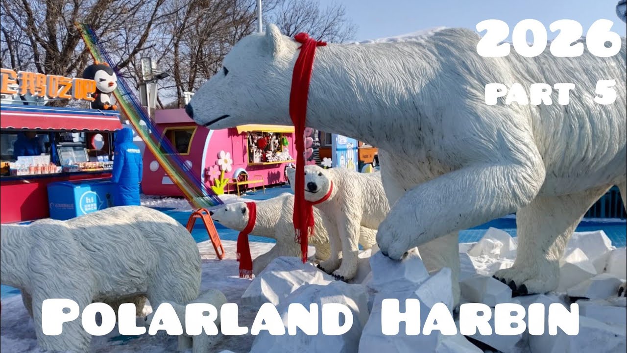 2026 P5 Polarland Harbin