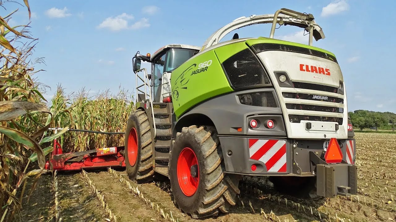 Mais Silage | Nikkels | Claas Jaguar 960 + New Holland + Massey Ferguson | 2020