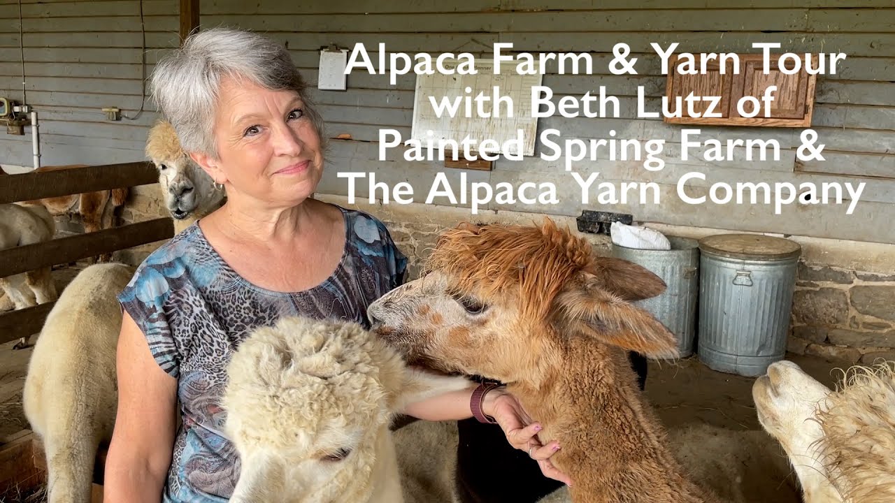 Alpaca Farm & Yarn Tour with Beth Lutz of Painted Spring Farm & The Alpaca Yarn Company!