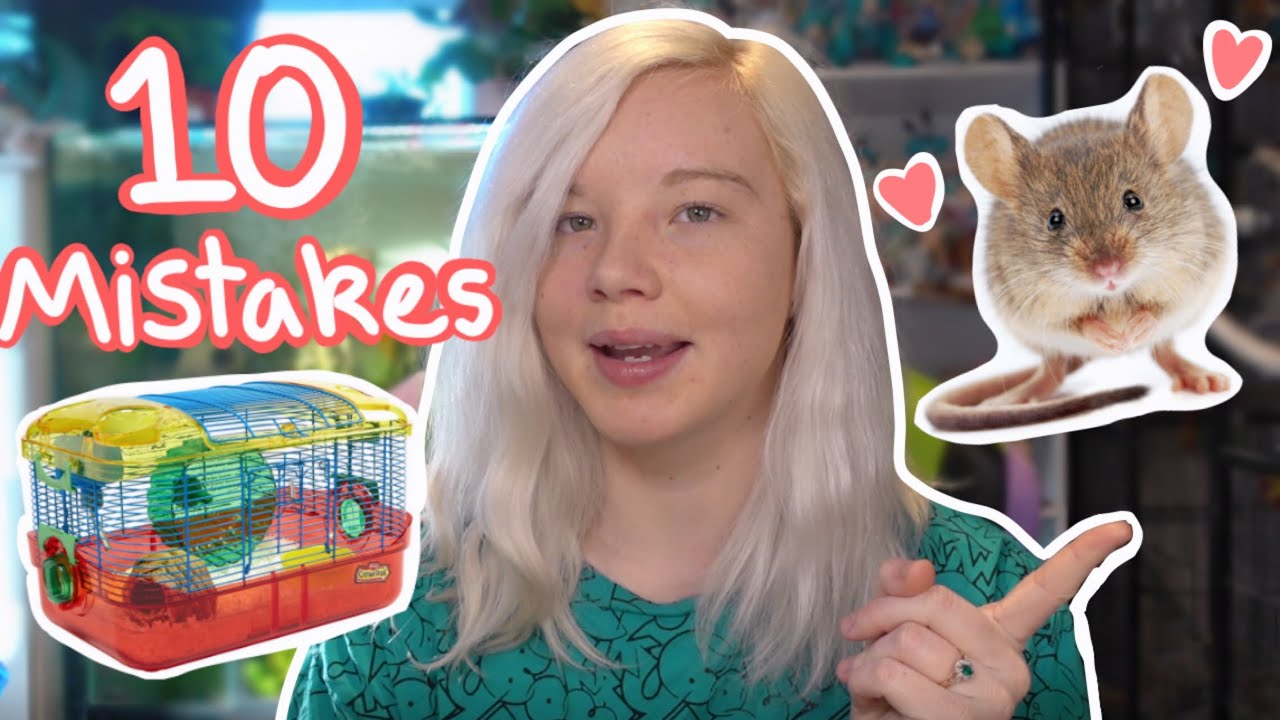 10 Common MISTAKES Mouse Owners Make