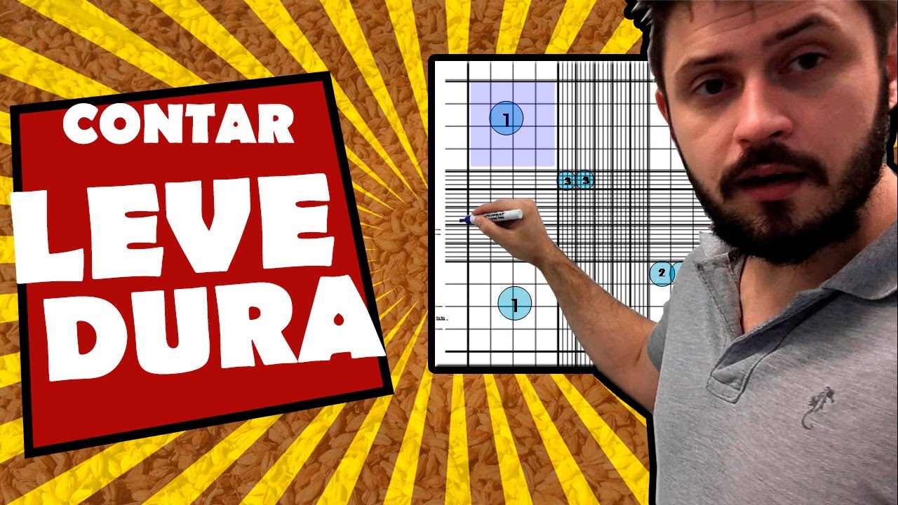 Como contar LEVEDURAS com microscópio