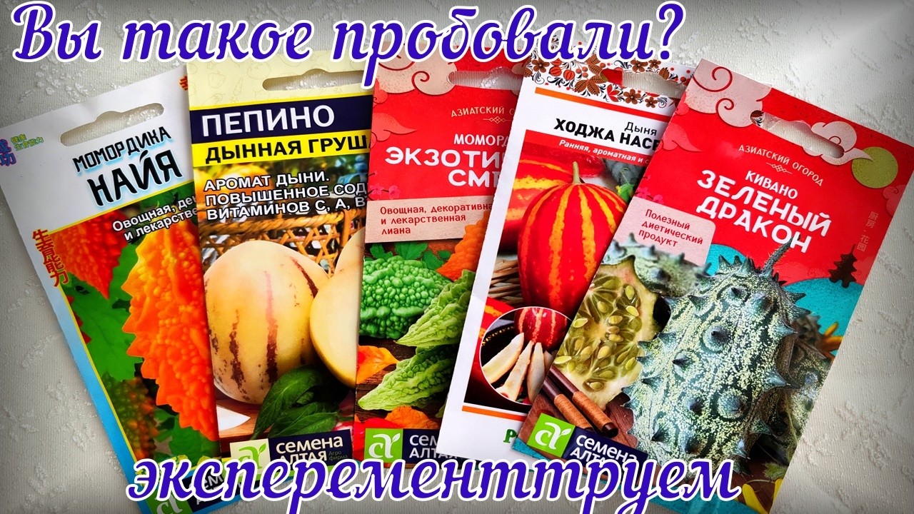 Экспериментируем.Интересные семена.Рагу в горшочках.