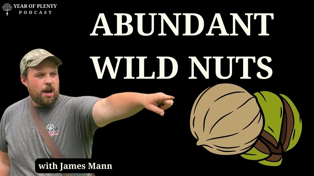 Ancient Nuts: Hickory Nut Foraging and Wild Tending [Podcast]