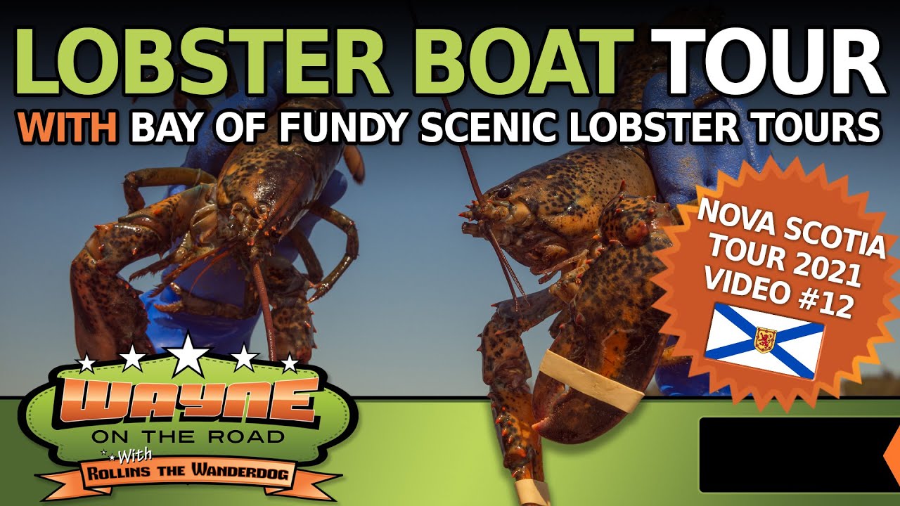 Lobster Boat Tour! - With Bay of Fundy Scenic Lobster Tours in Nova Scotia