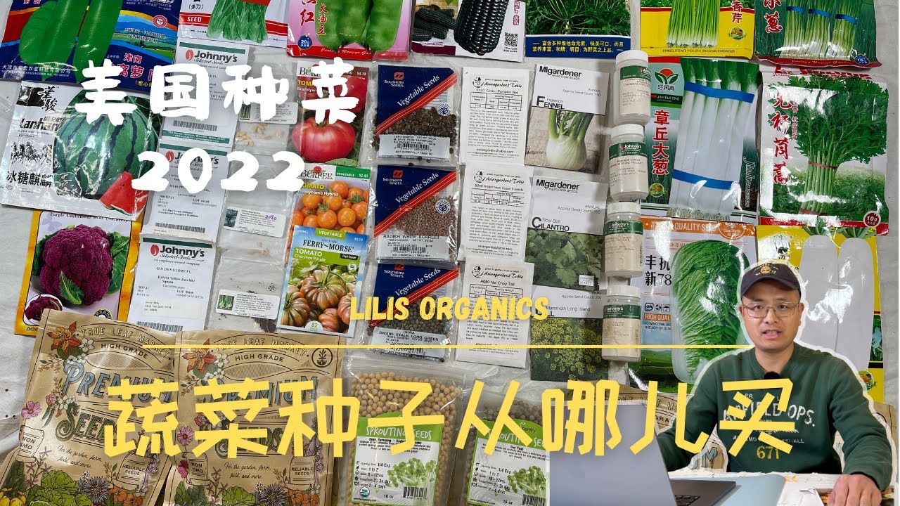 蔬菜种子从哪儿买，美国种菜2022 | Where to Buy Vegetable Seeds, Growing Vegetables in US 2022