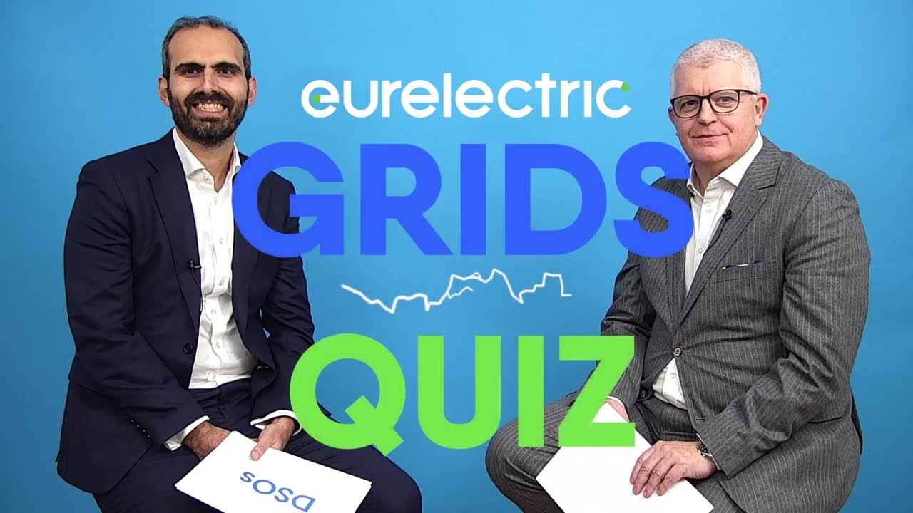 Could distribution grids become a bottleneck for the energy transition?