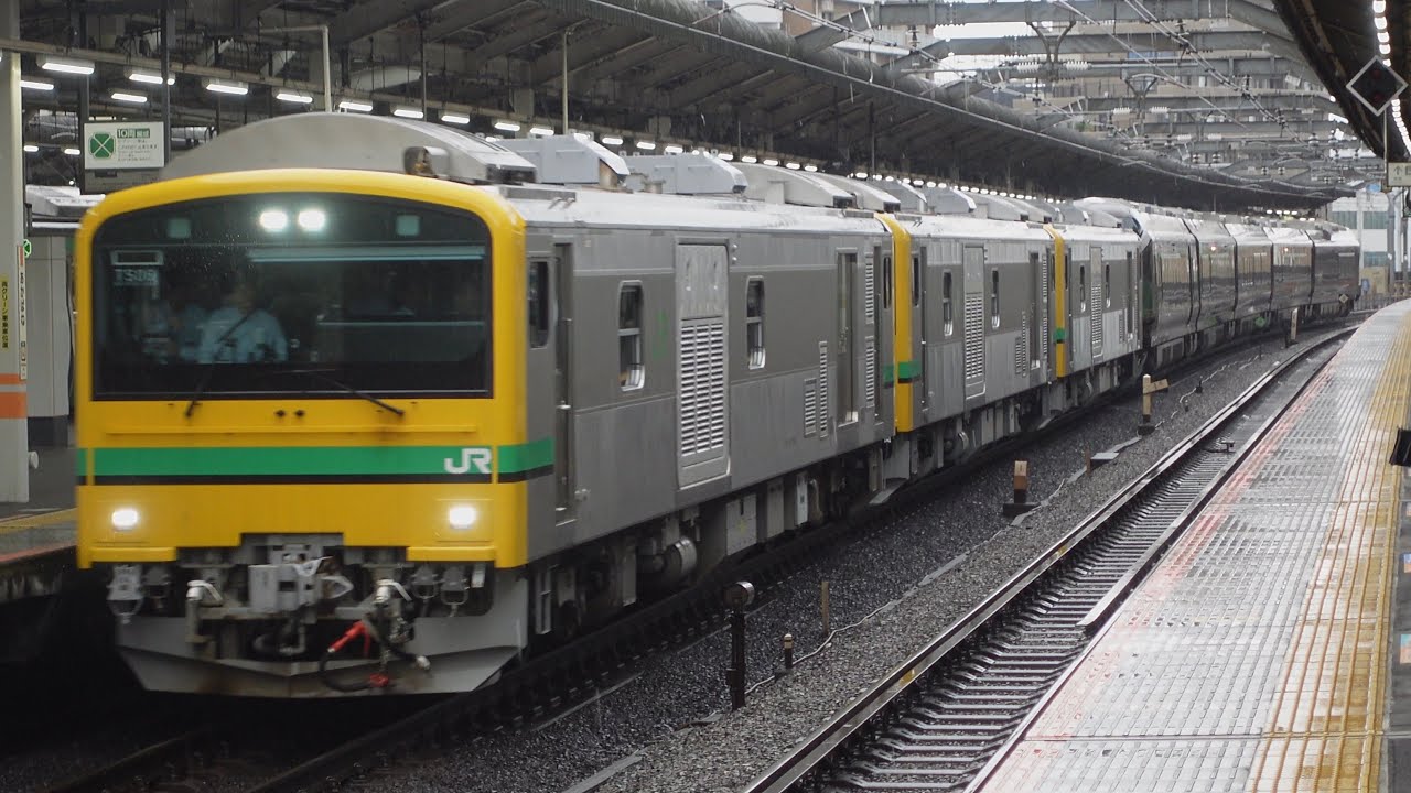 GV-E197系108+201+202+E655系(なごみ) 試運転 赤羽駅通過