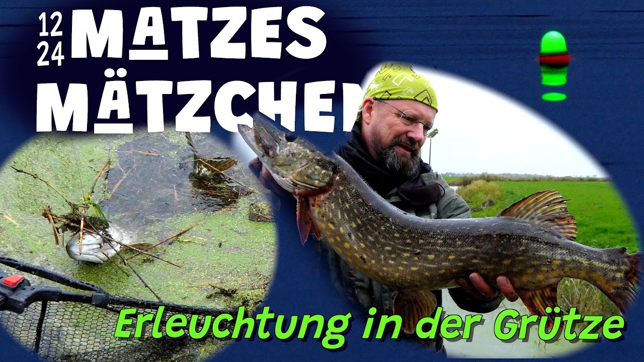 Matzes M&auml;tzchen: Erleuchtung in der Gr&uuml;tze - Deadbaitfischen auf Hecht - 12/24