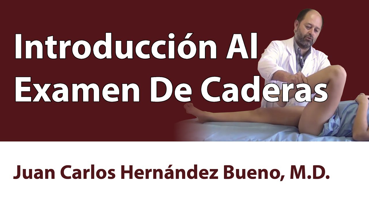 Introducción Al Examen De Caderas