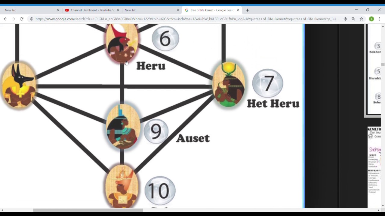 Eritrean and Ethiopian knowledge for Tree of life for Habesha