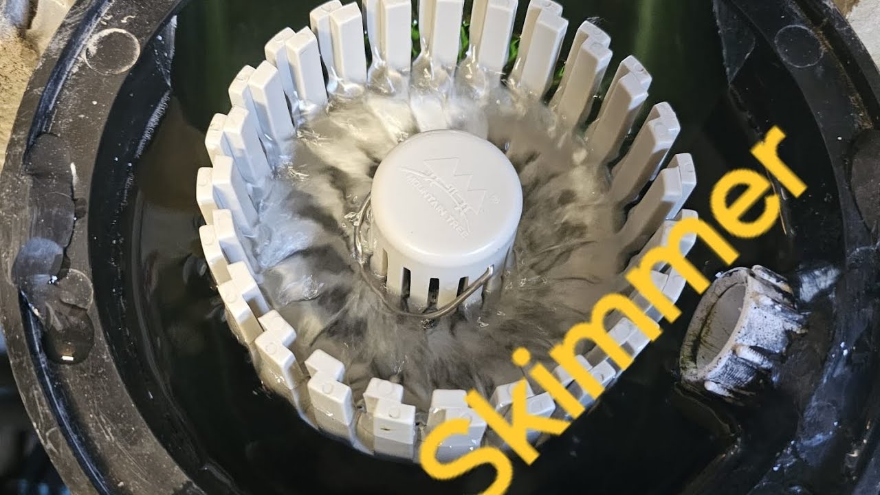 Skimmer update #mountaintree #pondbuild