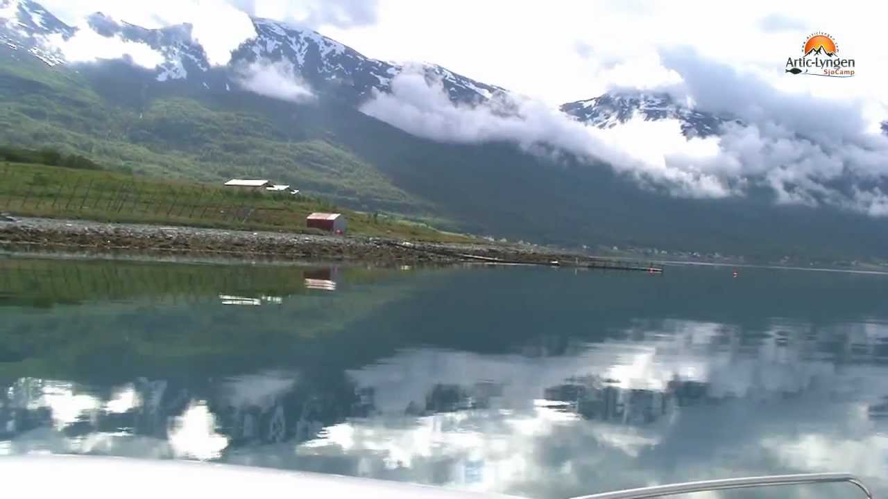 Angeln im Lyngenfjord
