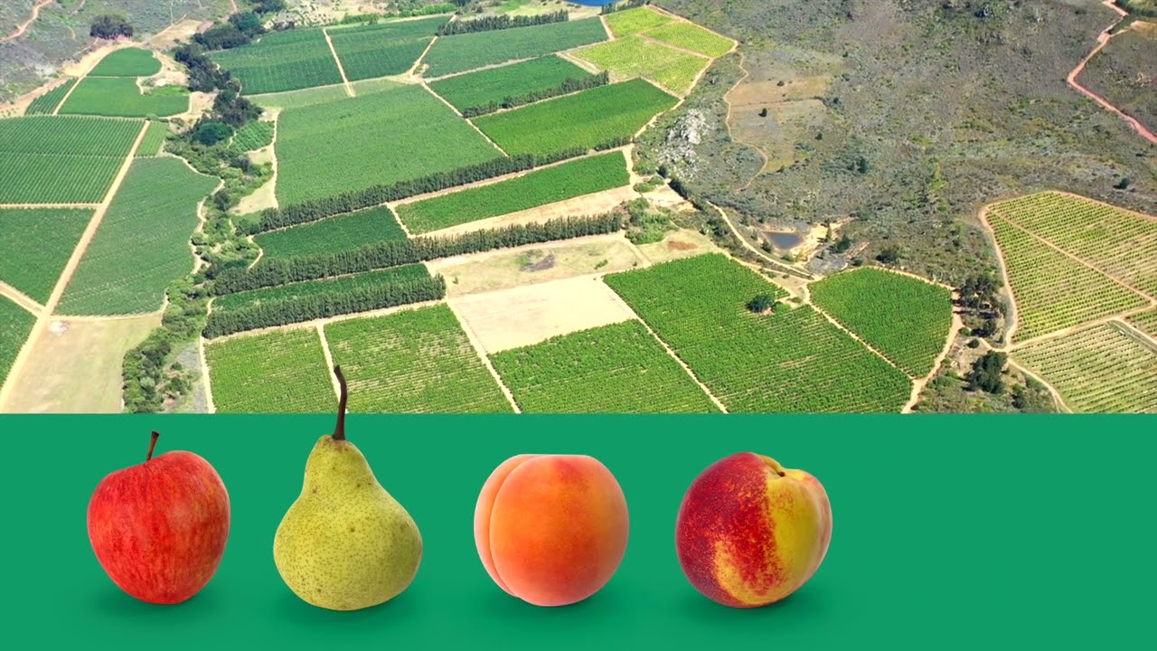 Piketberg Farm for Sale (Sold)
