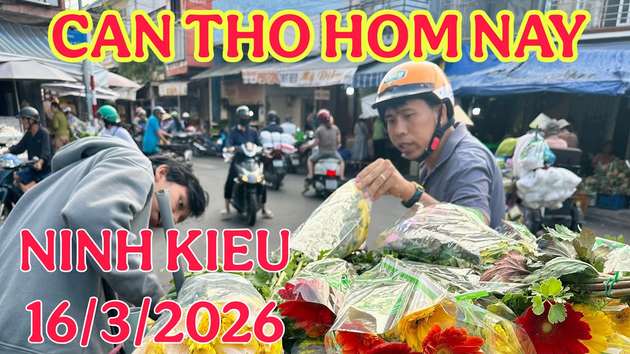 CẦN THƠ HÔM NAY BẾN NINH KIỀU, CHỢ AN LẠC TP CẦN THƠ 🌺16/3/2026🌺cần thơ ký sự