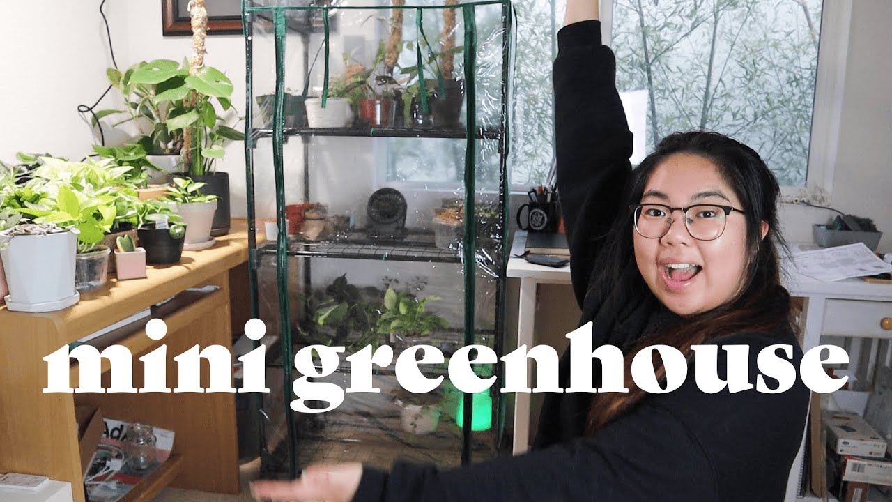 Setting Up My Mini Indoor Greenhouse | Bee's House of Plants