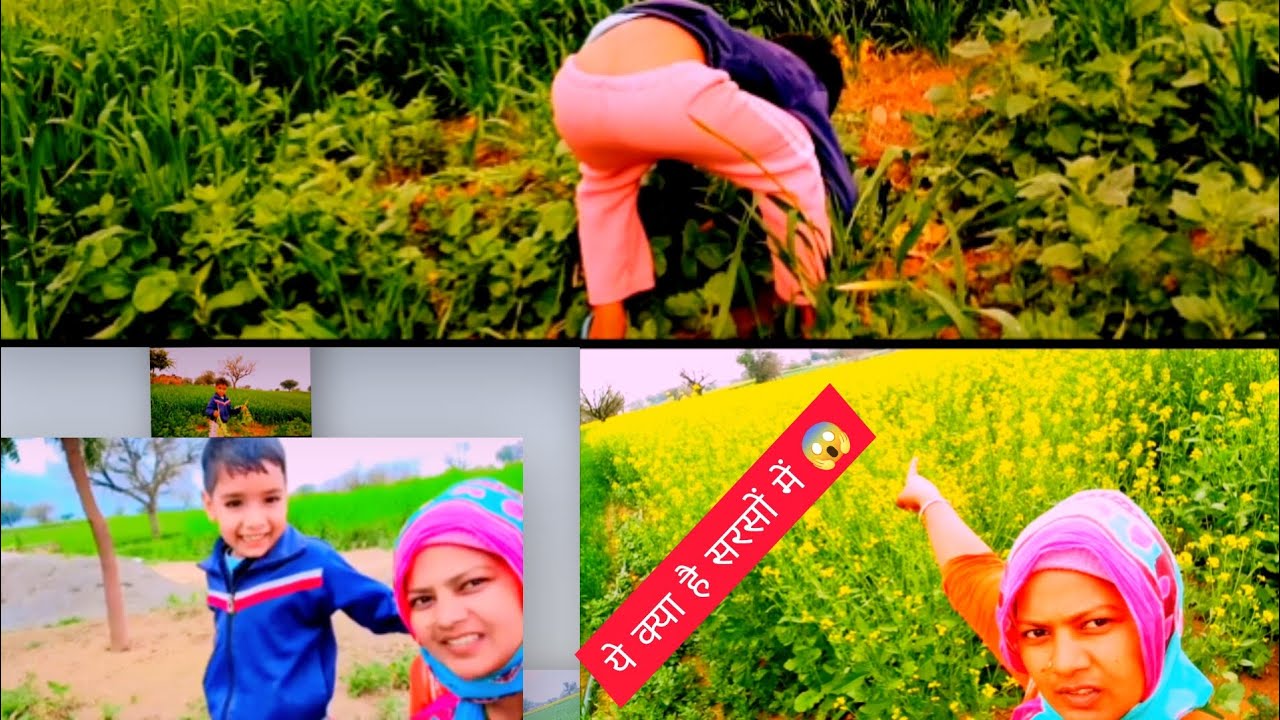 Aaj Ham Gaye Khet Mein 🌾 | Gaon Ki Real Life l NAVEENKUMAR-xy3zx ll