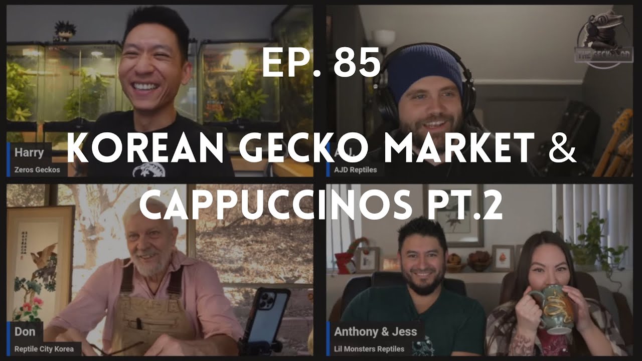 Korean Gecko Market & Cappuccinos Pt. 2 w/ RCK Don | Ep. 85 of The Gecko Pod