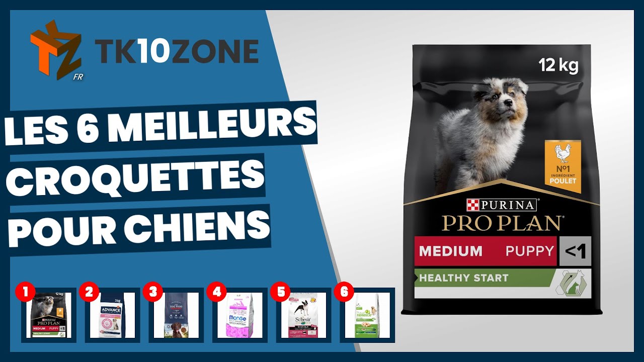 Les 6 meilleurs croquettes pour chiens