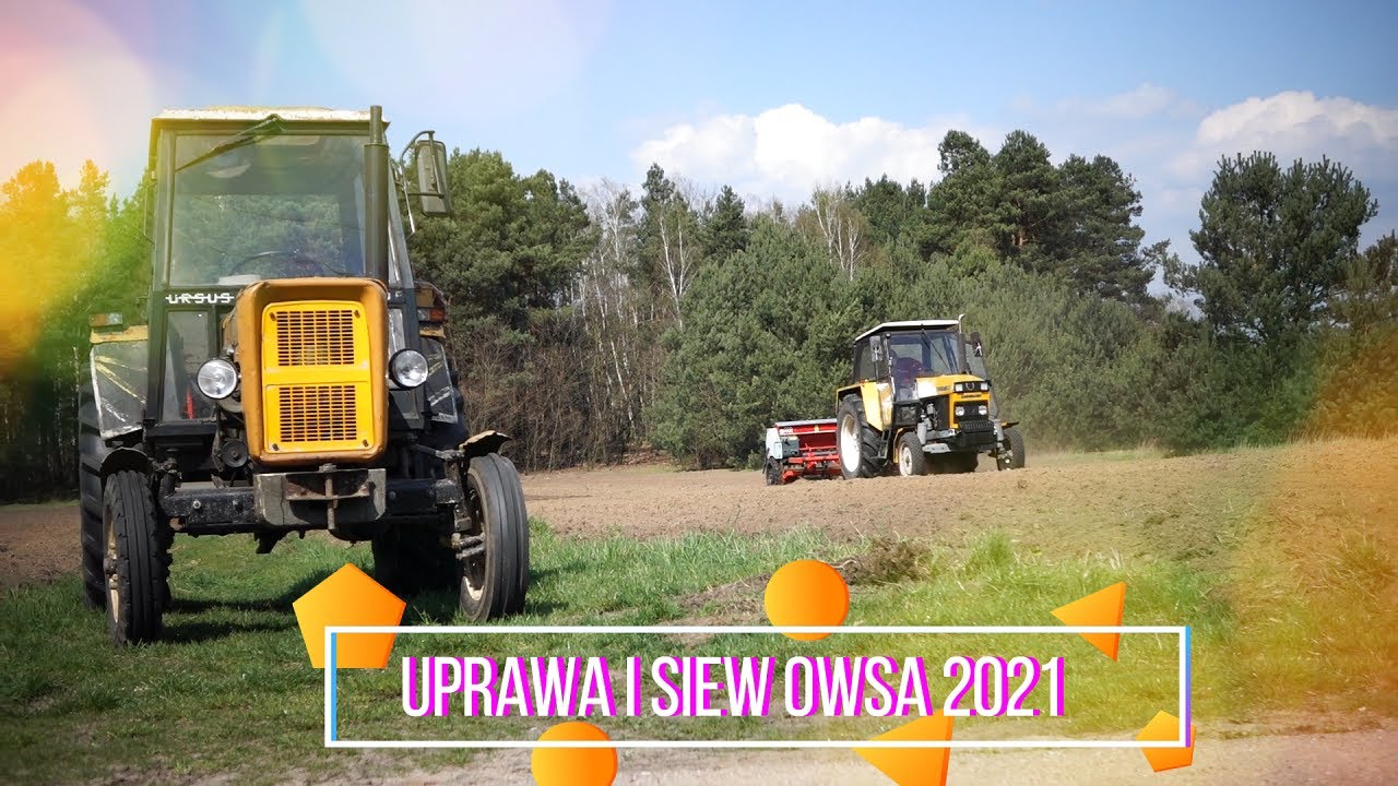 Uprawa i siew owsa 2021