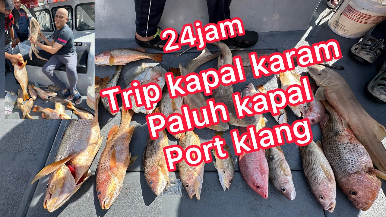 TRIP 24jam KAPAL KARAM🎣PALUH KAPAL🇲🇾PORT KLANG #fish #fishing #jenahak #merah #daunbaru #ikan