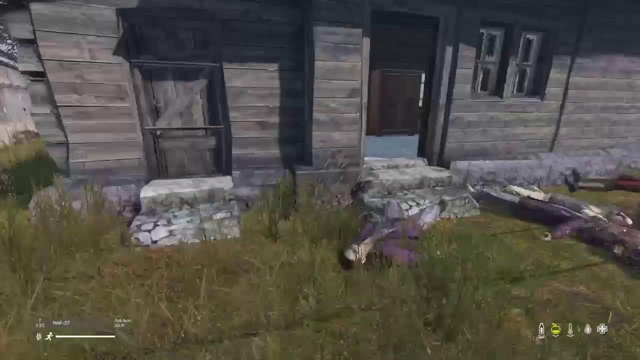 DayZ