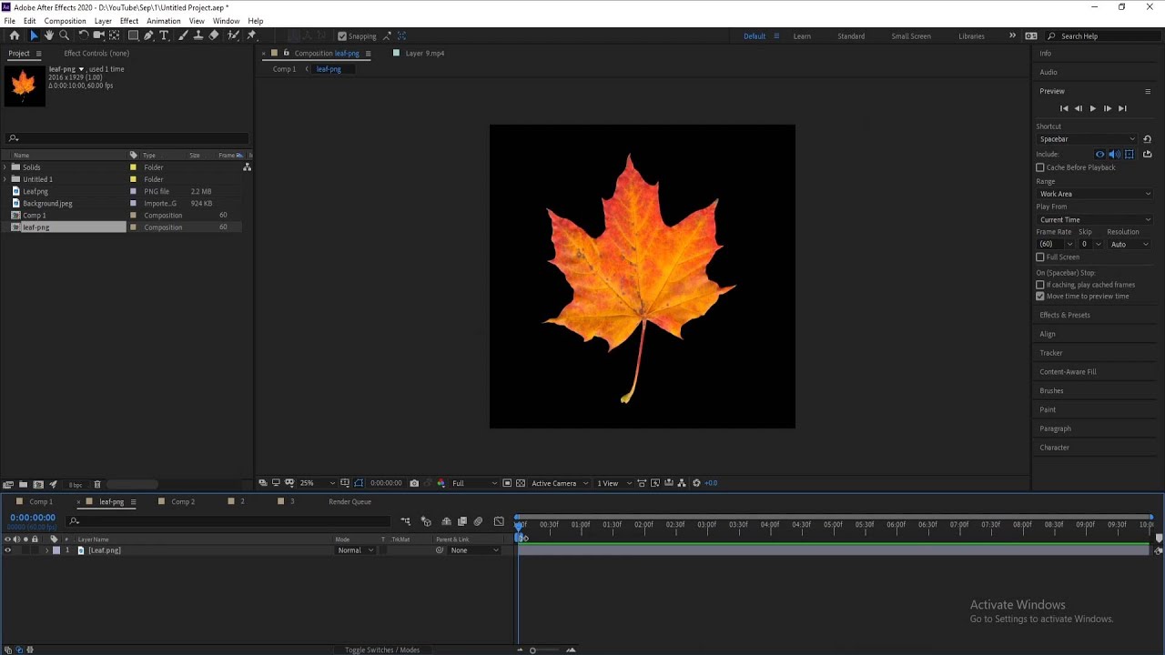 CC Particles World - leaf falling - After Effects Tutorial